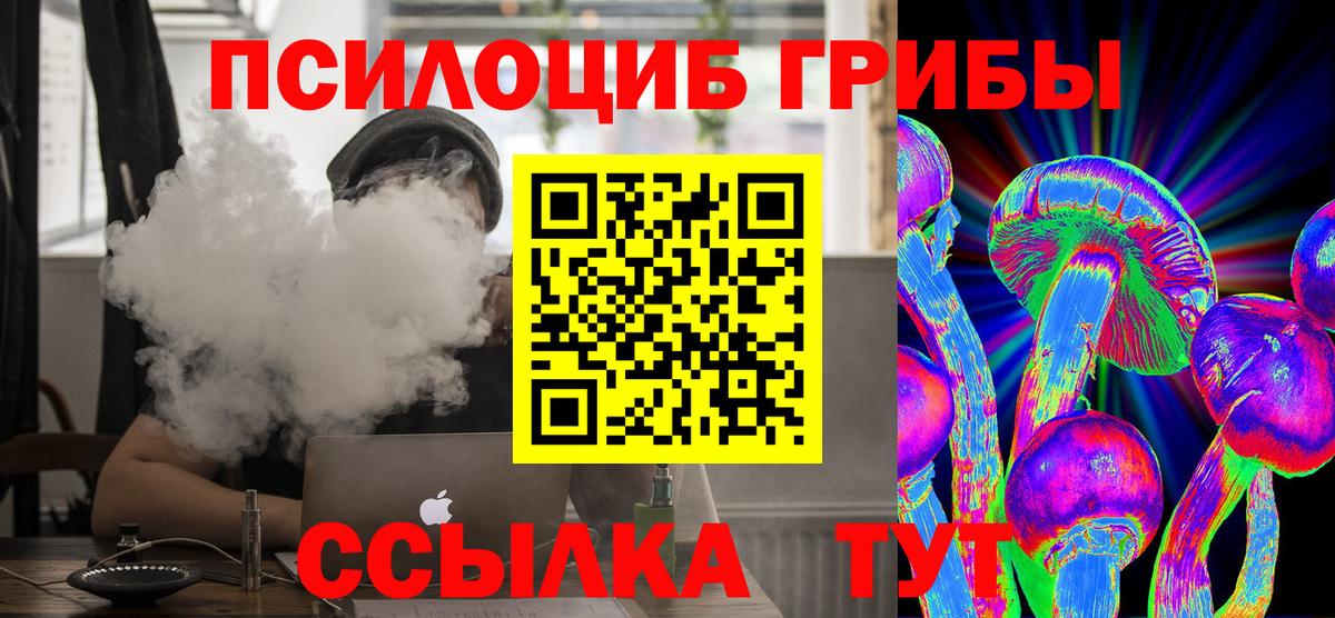 Галлюциногенные грибы Psilocybine cubensis Лесосибирск